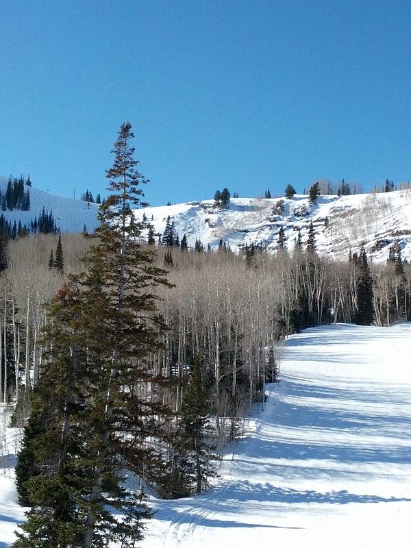 2013-02-03 14.20.46.jpg